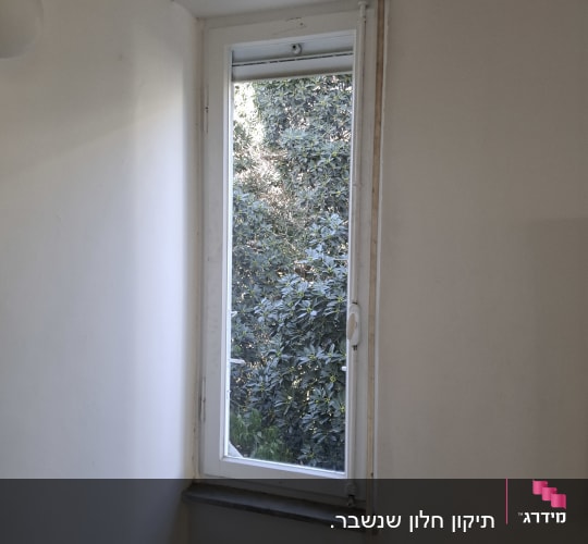 חלון זכוכית צר במסגרת לבנה המשקיף לצמחייה מחוץ לבית